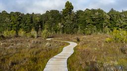 Tìm chuyến bay giá rẻ từ Hà Nội tới New Zealand