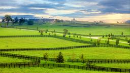 Tìm chuyến bay giá rẻ tới Kentucky
