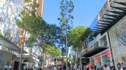 Khách sạn ở Brisbane nằm gần sân bay Queen Street Mall