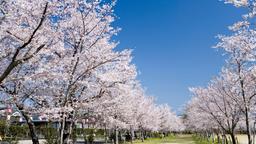 Danh mục khách sạn ở Kagoshima