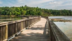 Tìm chuyến bay giá rẻ từ Hà Nội tới Newport News