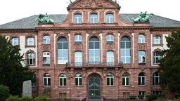Khách sạn ở Frankfurt/ Main nằm gần sân bay Senckenberg Naturmuseum