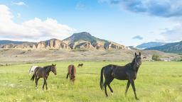 Khách sạn gần sân bay Sân bay Yellowstone Regional