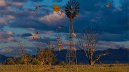 Chỗ lưu trú nghỉ mát South Australia