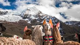 Cusco quán trọ