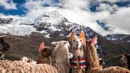 Khách sạn ở Cusco