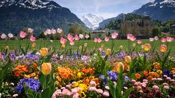 Danh mục khách sạn ở Interlaken