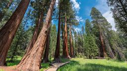 Khách sạn ở Sequoia National Park