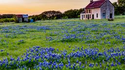 Tìm những chuyến bay giá rẻ từ Đà Nẵng đến Texas