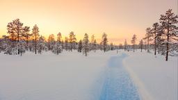 Chỗ lưu trú nghỉ mát Lapland