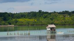 Khách sạn ở Tagbilaran