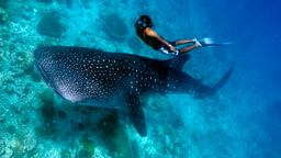Khách sạn ở Maldives