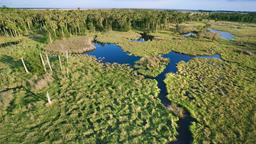 Chỗ lưu trú nghỉ mát Everglades