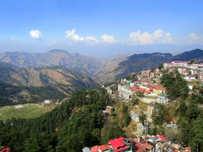 Shimla