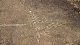 Nazca quán trọ