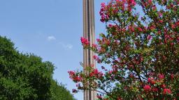 Khách sạn ở San Antonio nằm gần sân bay Tower of the Americas