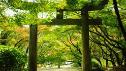 Khách sạn ở Fukuoka Prefecture