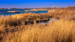 Khách sạn gần sân bay Sân bay Central Nebraska