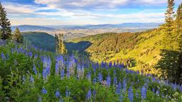 Danh mục khách sạn ở Park City