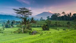 Tìm chuyến bay giá rẻ tới Indonesia