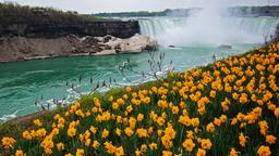 Khách sạn ở Niagara Falls