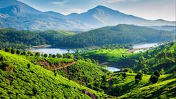 Danh mục khách sạn ở Munnar