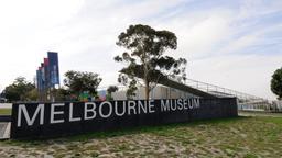 Khách sạn ở Melbourne nằm gần sân bay Melbourne Museum