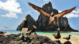 Khách sạn ở Fernando de Noronha