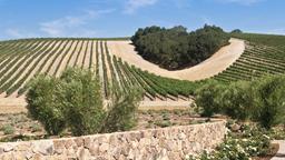 Khách sạn ở Paso Robles