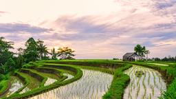 Khách sạn ở Tabanan Regency