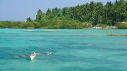 Khách sạn ở Cebu Island