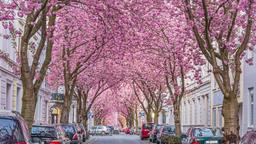 Danh mục khách sạn ở Bonn