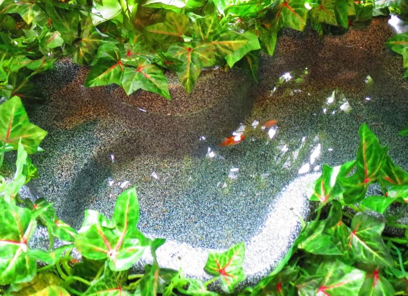 Cảnh ngoài trời Ảnh