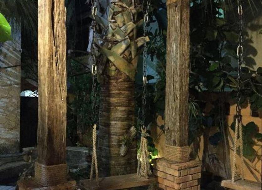 Cảnh ngoài trời Ảnh