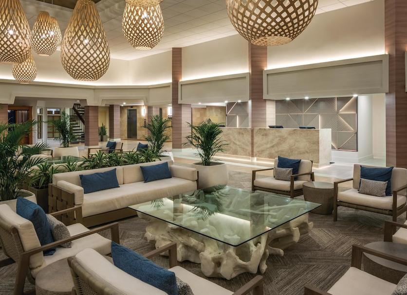 Lounge Ảnh