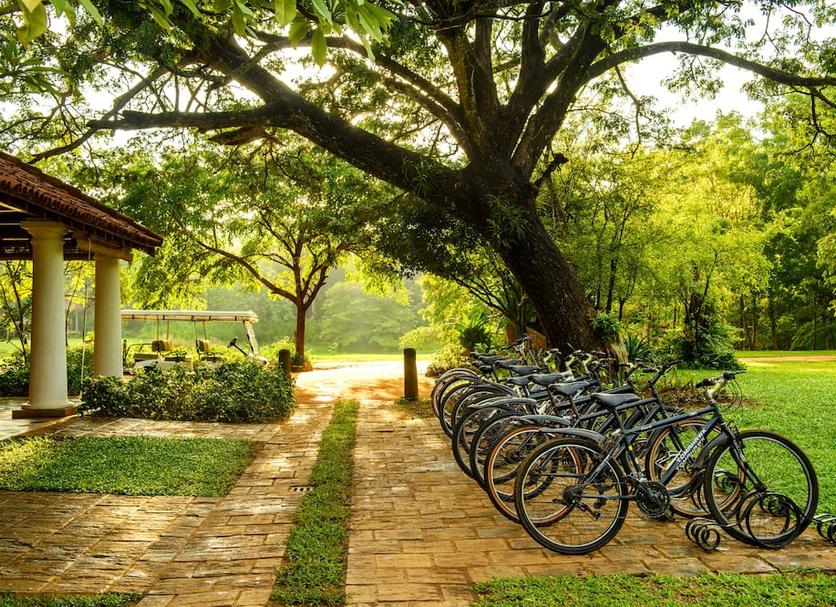 Cảnh ngoài trời Ảnh
