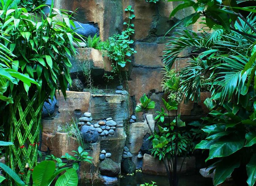 Cảnh ngoài trời Ảnh