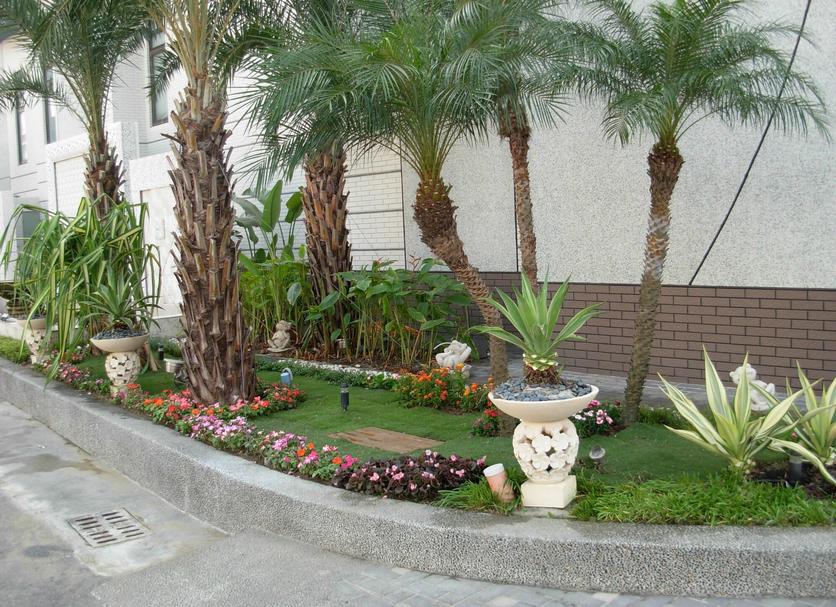Cảnh ngoài trời Ảnh