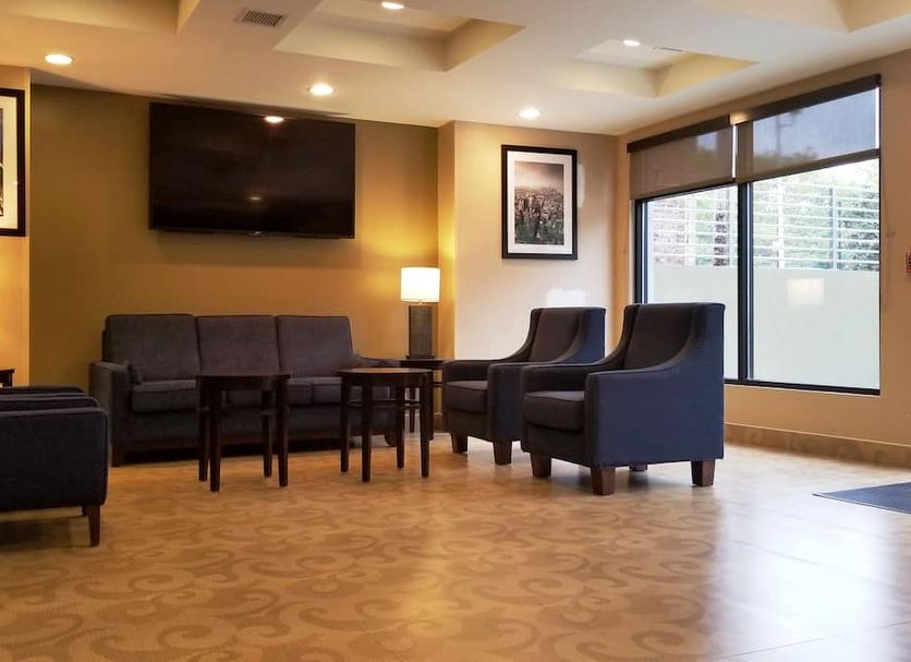 Lounge Ảnh