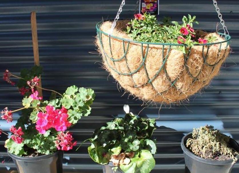 Cảnh ngoài trời Ảnh