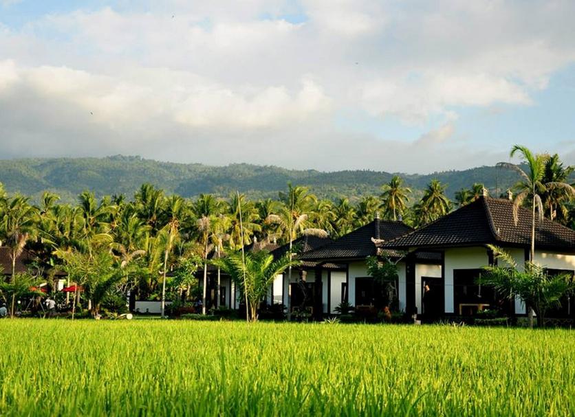 Khác Ảnh