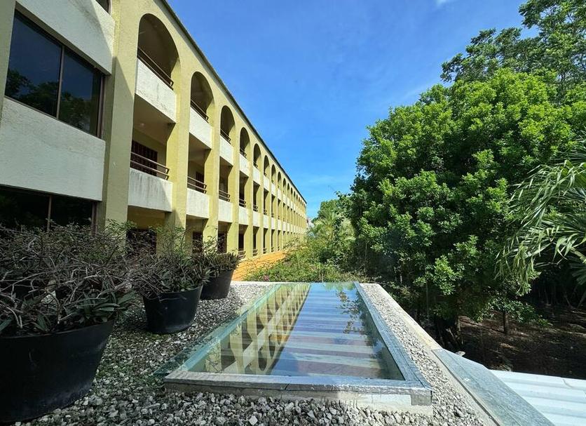 Cảnh ngoài trời Ảnh