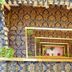 Cầu thang