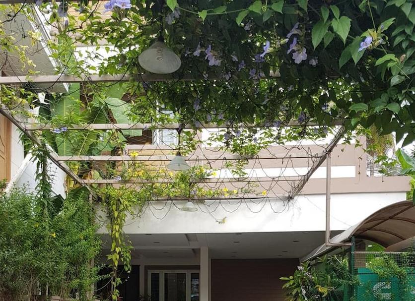 Cảnh ngoài trời Ảnh