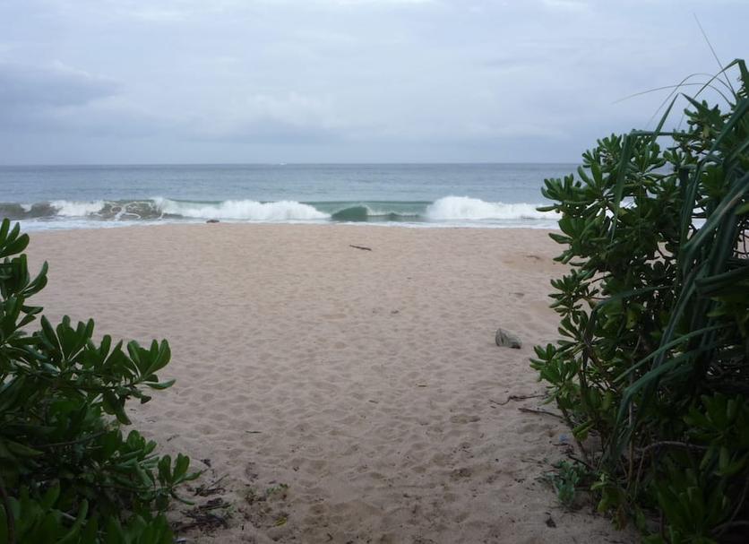Bãi biển Ảnh