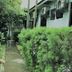 Cảnh ngoài trời