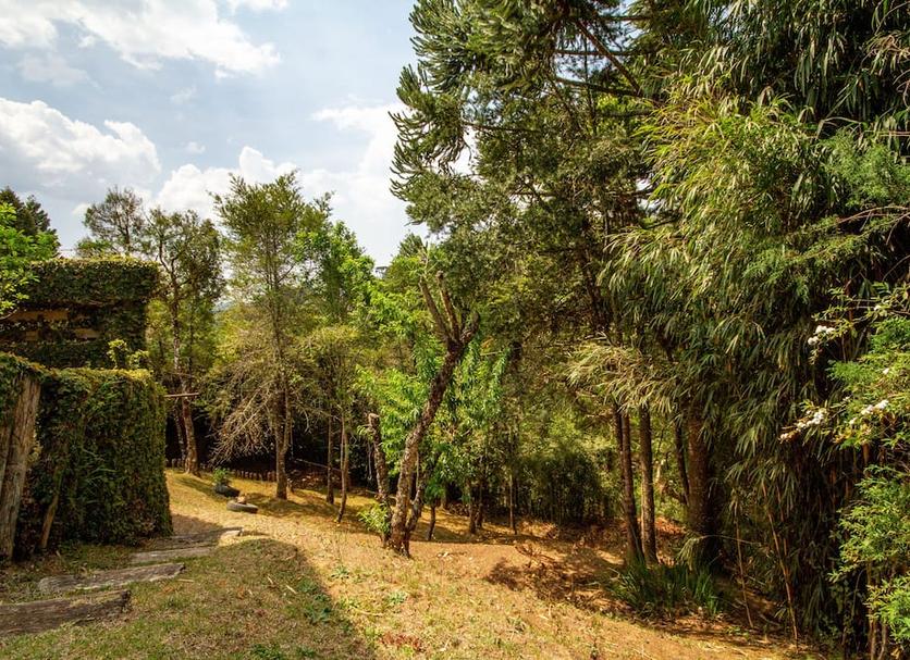 Cảnh ngoài trời Ảnh