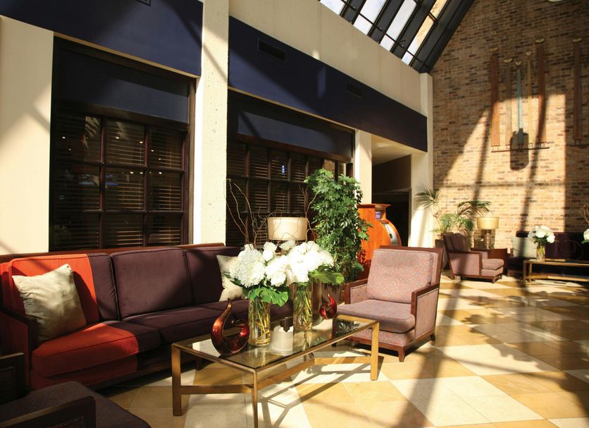 Lounge Ảnh