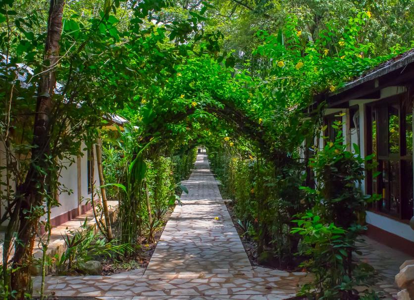 Cảnh ngoài trời Ảnh