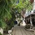 Cảnh ngoài trời